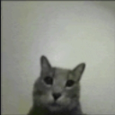 Small gamer studios Discord server icon