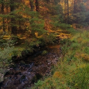 🦇.𖥔 ݁ ˖ Bat Valley ˖  ݁𖥔 .🦇 Discord server icon