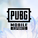 Discovery icon for Esports PUBG MOBILE MEA Discord server