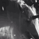 𑣲𝐹𝑜𝓇𝑒𝓈𝓉 𝒪𝒻 𝐹𝒶𝑒 ༊·˚ Discord server icon