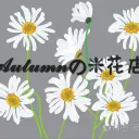 𝓐𝓾𝓽𝓾𝓶𝓷の✿花店 • 关闭
