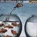 Ok