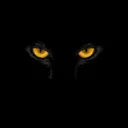Clan Nocturna | FW