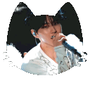 Jungwon's Cat Cafe 🐾 Discord server icon