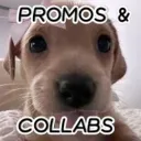Pawsitive cllbs & promos