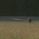 Every fruit wants to rule the world Discord server icon