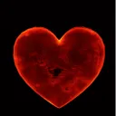 Love is life, Life is love, & Life is war
