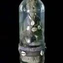 Owllet.com's server