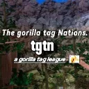 TGTN League  the gorilla tag Nations