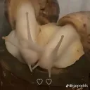 snail time  (W.I.P.)