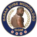 GABAR #1371