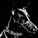 🧷 PUNKS ! [+15] Discord server icon