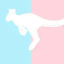 Team Kangaroo BETA SERVER