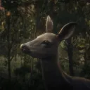 𝐇𝐨𝐫𝐬𝐞𝐬𝐡𝐨𝐞 𝐨𝐯𝐞𝐫𝐥𝐨𝐨𝐤