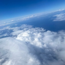 The Freaks ✨ Discord server icon