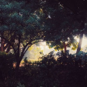 PMD: Maps of The Lost Discord server icon