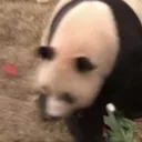 監獄