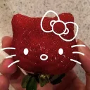 ꒰୨୧꒱．．innies        hub  &  social  ⁺