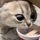Cajita de Tamy 😺