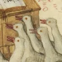 Back to School Geese🪿