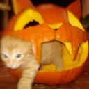 SPOOKY (Wholesome) Palace