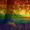 gay tree server