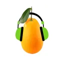 Orange's Fruit Bowl