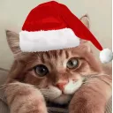 cat cat cat cat cat cat cta c at