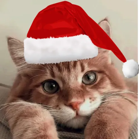 cat cat cat cat cat cat cta c at banner