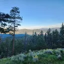 The Official New Mexico Discord Server