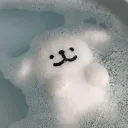 동글레차