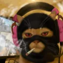 Kitten arcade