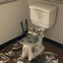 Toilet Tickler Troop