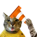Drippy Kitties Hangout