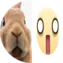 StardustXD