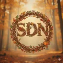 Stream Dream network