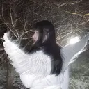 🕊 RippedWings | Friendly・Social・SFW・DM・Make Friends・VC・Active・Hangout・Giveaways