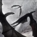 The Dragons of Old