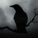 Metal Crows Open Server