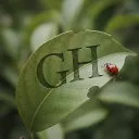 𝗚𝗿𝗲𝗲𝗻 𝗛𝗮𝘃𝗲𝗻 — Дискорд Сервер