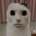 epicki serwer do valo