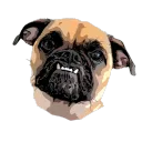 Maison's Server