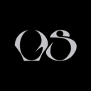 Discovery icon for VS, INC. Discord server