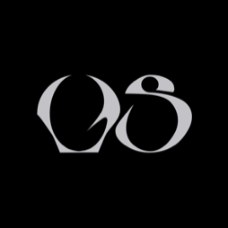 Discovery icon for VS, INC. Discord server