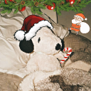 Discovery icon for Kaatupoochi Discord server