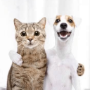 Reddit 2