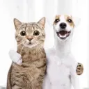 Reddit 2