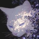 𝐆𝐄𝐇𝐄𝐍𝐍𝐀 avatar