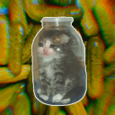 𝗣𝗜𝗖𝗞𝗟𝗘𝗗𝗖𝗔𝗧𝗦 Discord server icon