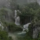 Petals After Dusk discord icon